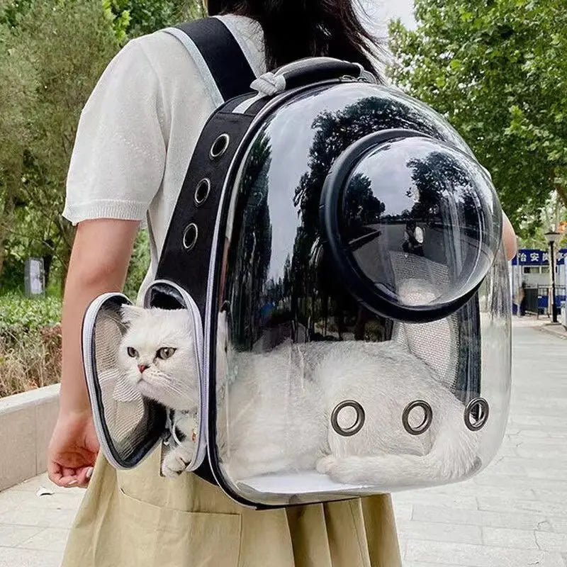 Travel & Carriers