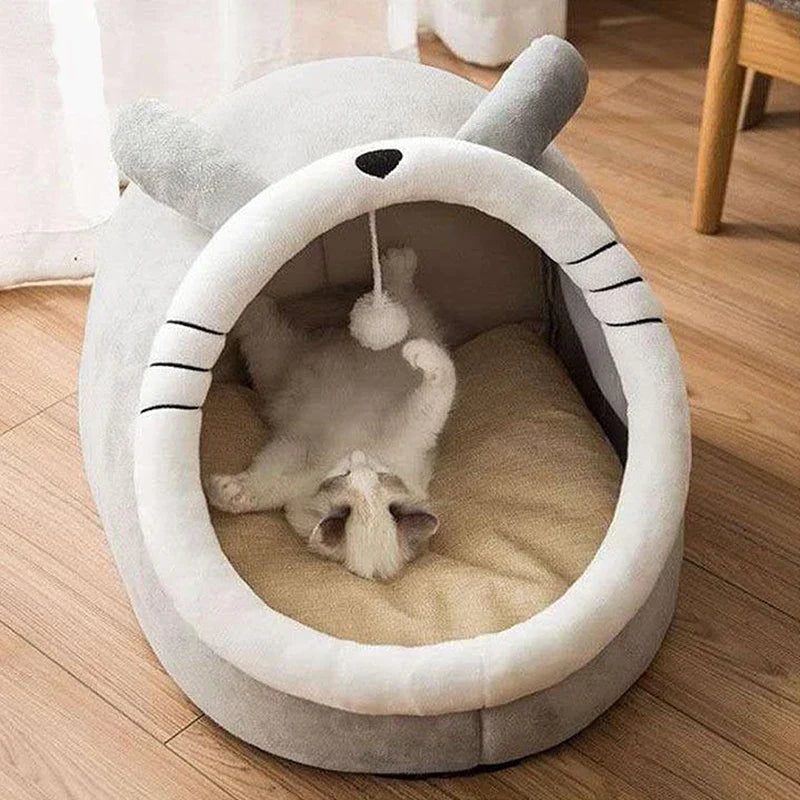 Cat Beds & Caves
