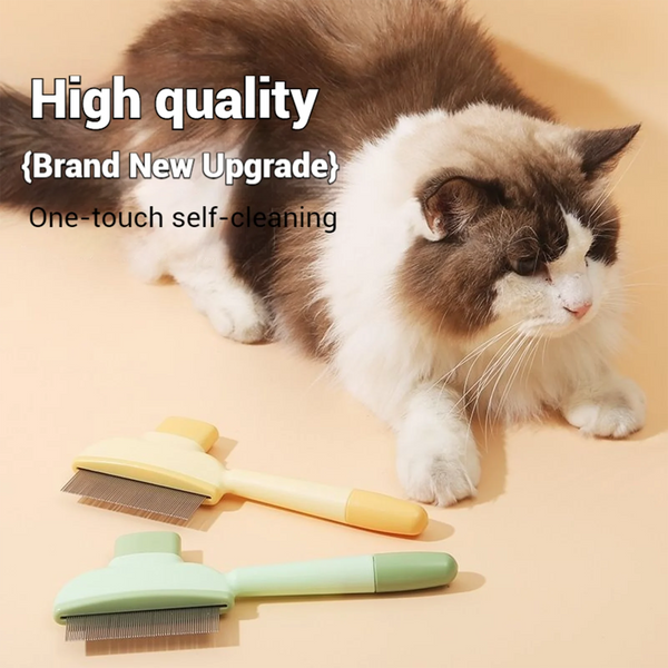 Pethouse | Neat Comb