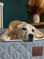 OrthoLuxe Bed for Dogs I Closer Pets