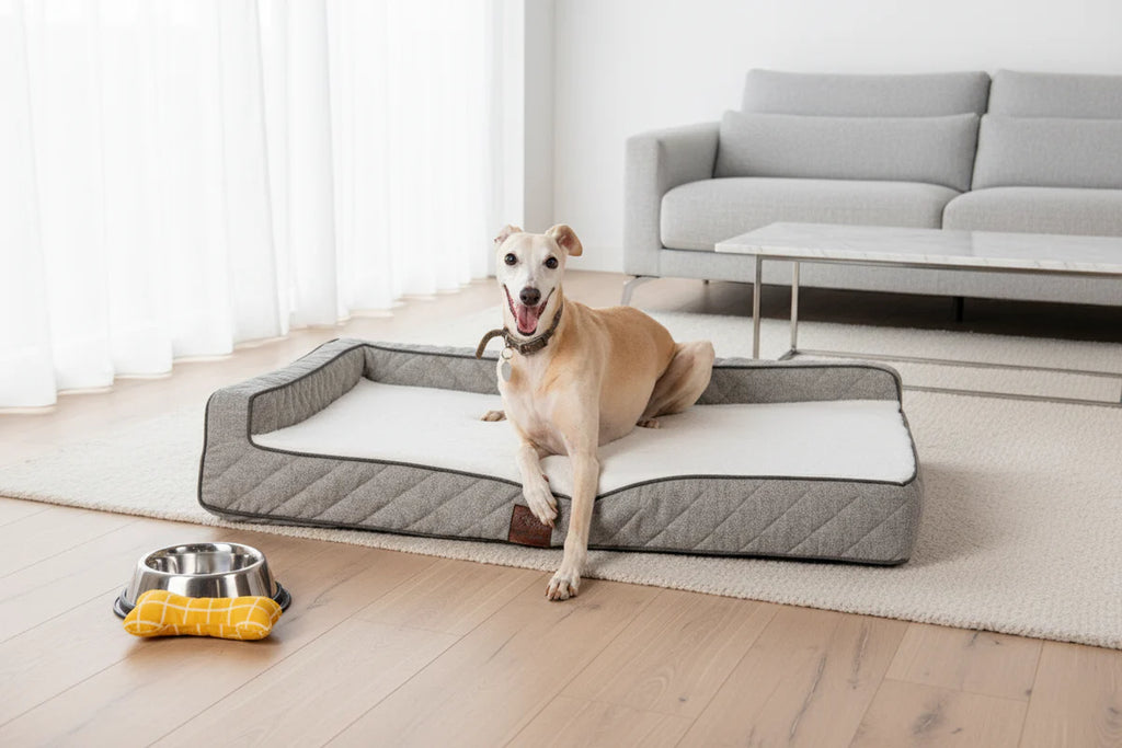 OrthoLuxe Bed for Dogs I Closer Pets