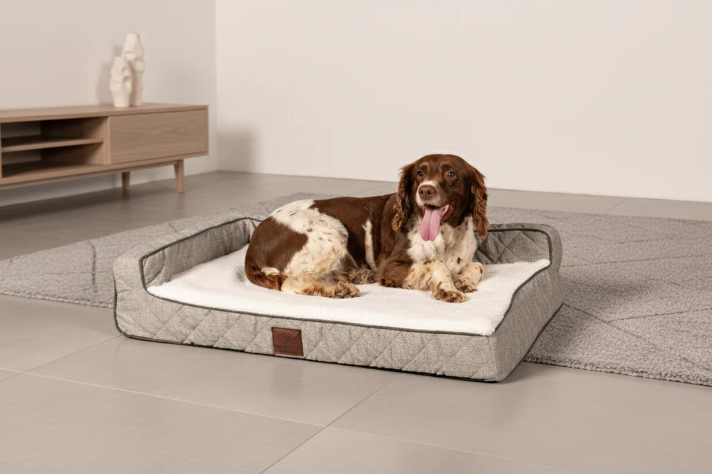 OrthoLuxe Bed for Dogs I Closer Pets