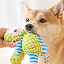 Squeaky Plush Puzzle Toy — Bite-Resistant Chew Toy for Dogs & Cats