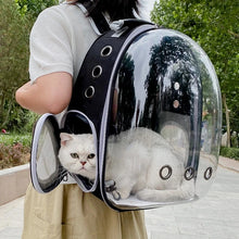 Bubble Backpack Pet Carrier – See-Through Travel Bag for Cats & Small Dogs