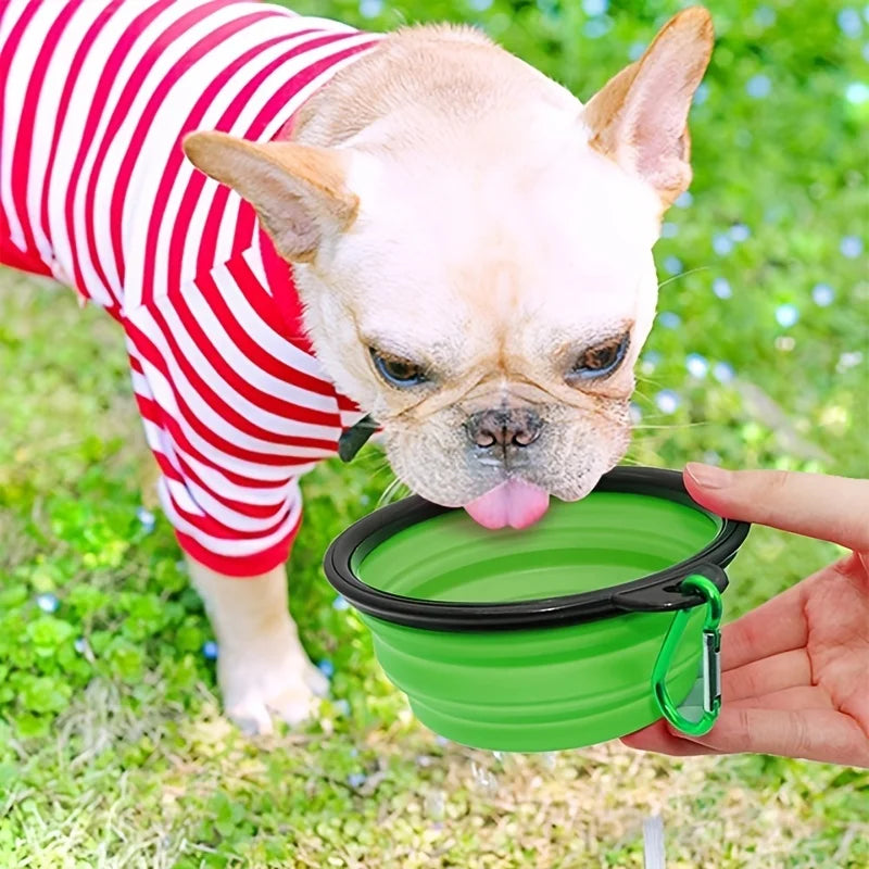 Collapsible Silicone Travel Bowl — Portable Pet Food & Water Bowl