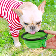 Collapsible Silicone Travel Bowl — Portable Pet Food & Water Bowl