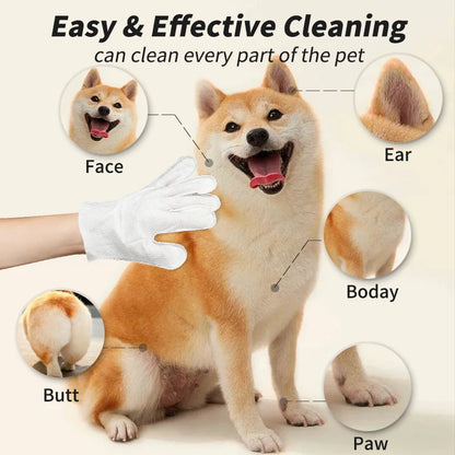 Pet Fresh Wipes & Gloves System