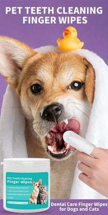Disposable Finger Toothbrush Wipes — Dog & Cat Dental Care