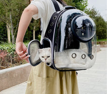Bubble Backpack Pet Carrier – See-Through Travel Bag for Cats & Small Dogs
