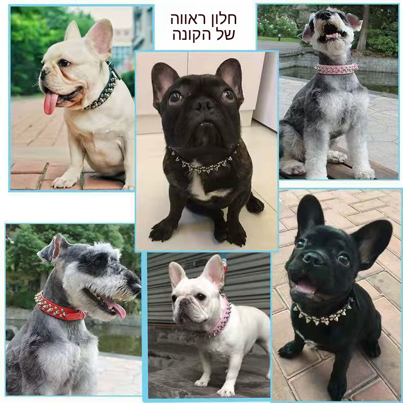 קולר לחיות מחמד בסגנון פאנק מגניב עם מסמרות מעור PU ראש עגול שרשראות לכלבים נגד נשיכה אביזרים אופנתיים לחיות מחמד