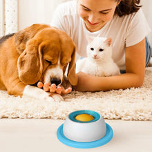 Slow Feeder Puzzle Toy — Interactive Treat Dispenser for Dogs