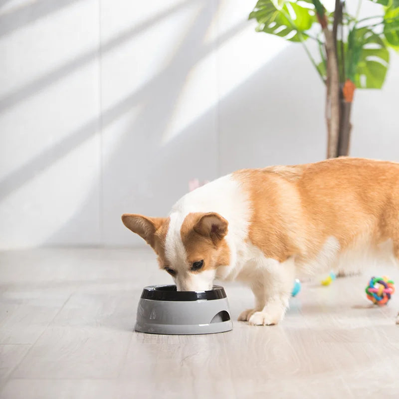 No-Spill Floating Pet Bowl — Splash-Free Water Bowl for Dogs & Cats
