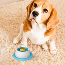 Slow Feeder Puzzle Toy — Interactive Treat Dispenser for Dogs