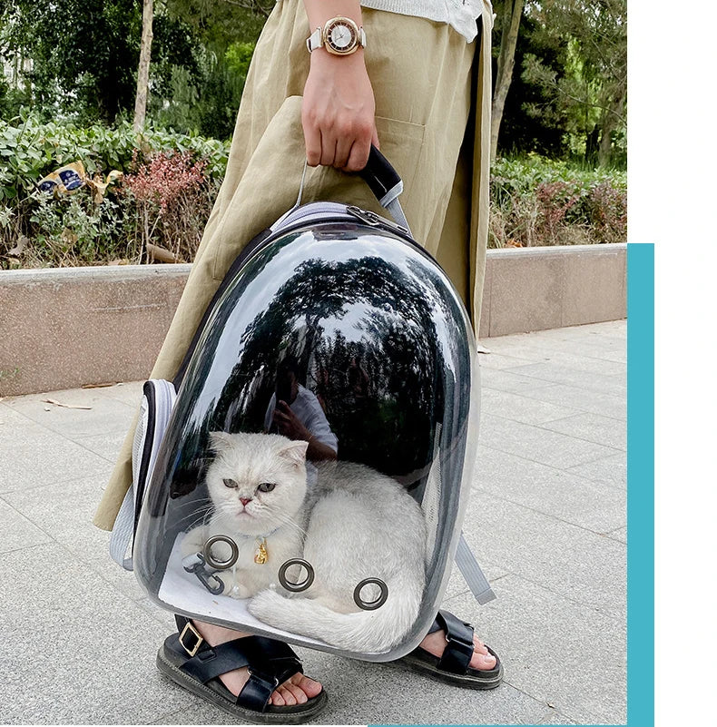 Bubble Backpack Pet Carrier – See-Through Travel Bag for Cats & Small Dogs