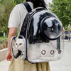 Bubble Backpack Pet Carrier – See-Through Travel Bag for Cats & Small Dogs