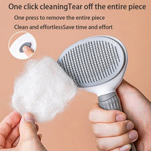Pethouse | Pet Hair Brush