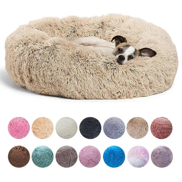 Built for a dog who doesn't do 'small'