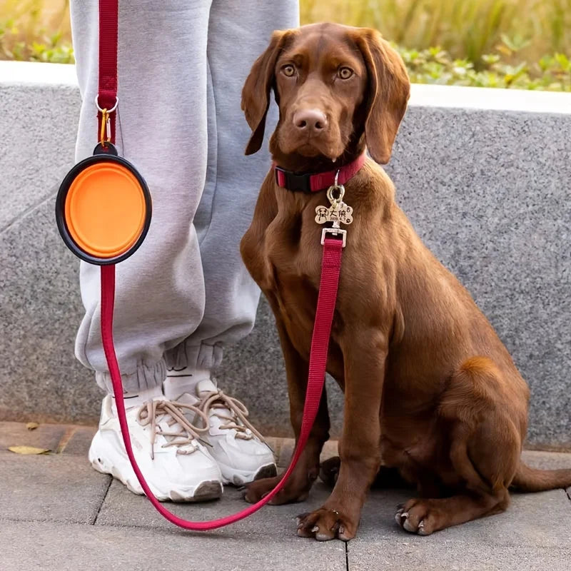 Collapsible Silicone Travel Bowl — Portable Pet Food & Water Bowl