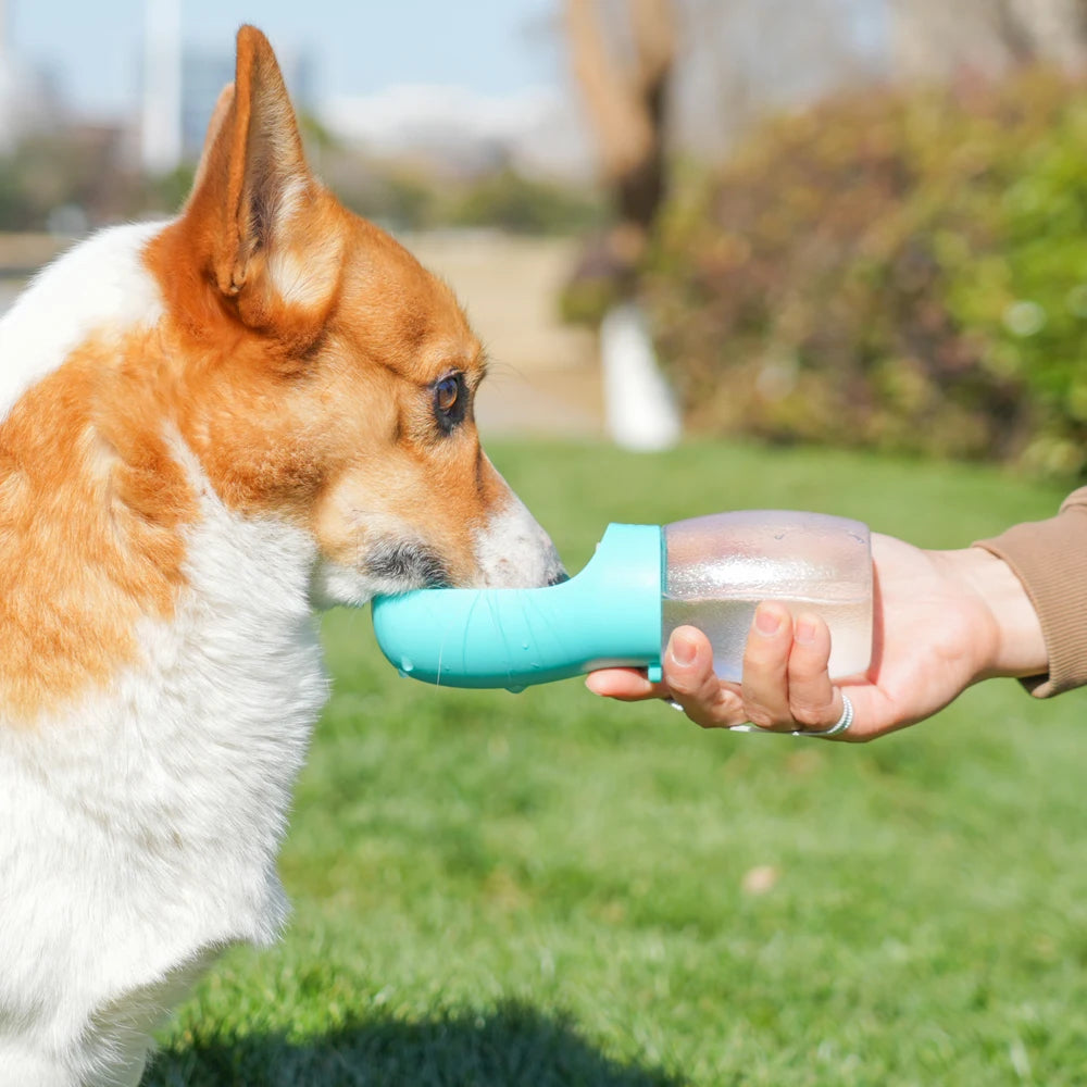 Portable Pet Water Bottle — 300ml Leak-Proof Drinking Bowl for Walks