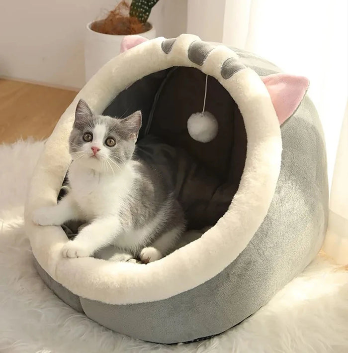 Great for a nervous rescue cat