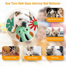 Voice Octopus Shell Puzzle Toy — Interactive Chew Toy for Dogs & Cats