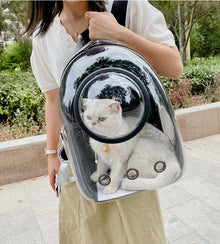 Bubble Backpack Pet Carrier – See-Through Travel Bag for Cats & Small Dogs
