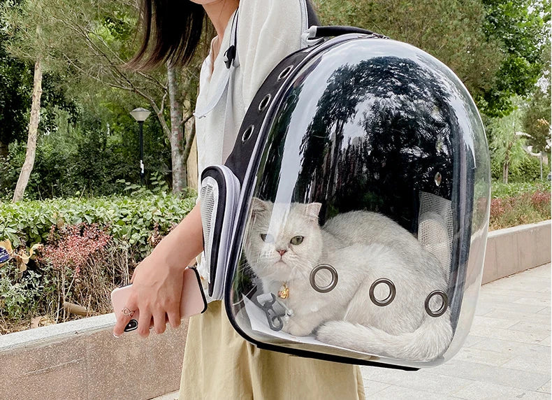 Bubble Backpack Pet Carrier – See-Through Travel Bag for Cats & Small Dogs