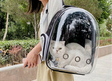 Bubble Backpack Pet Carrier – See-Through Travel Bag for Cats & Small Dogs