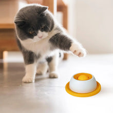 Slow Feeder Puzzle Toy — Interactive Treat Dispenser for Dogs
