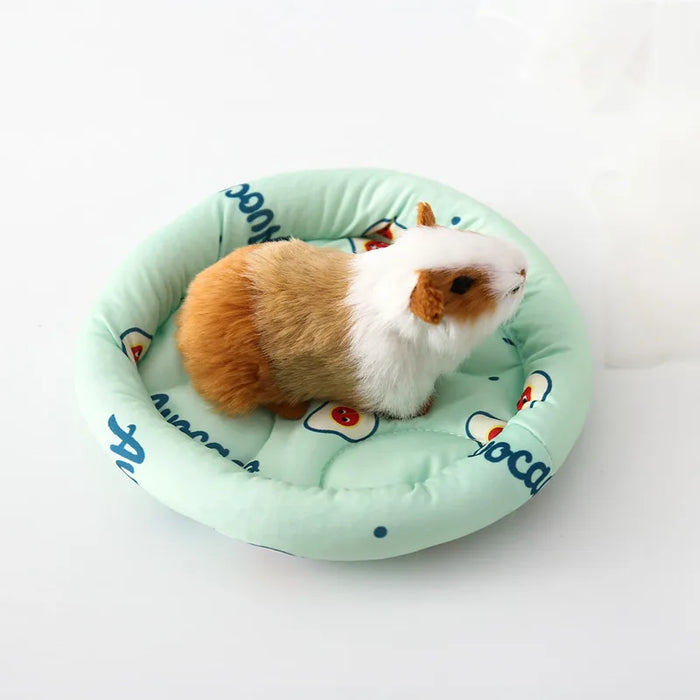 Easy for an older hamster to climb into