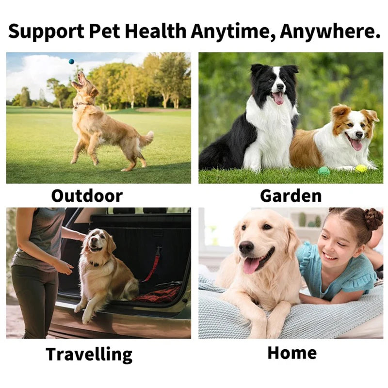Disposable Finger Toothbrush Wipes — Dog & Cat Dental Care