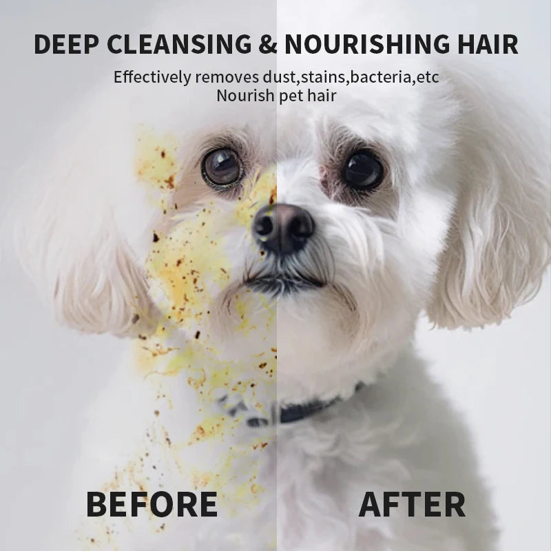 Pet Fresh Wipes & Gloves System