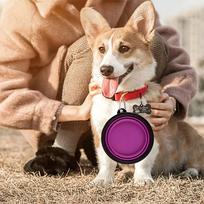 Collapsible Silicone Travel Bowl — Portable Pet Food & Water Bowl