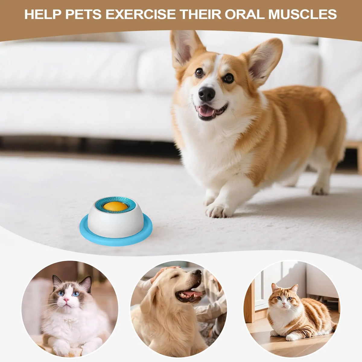 Slow Feeder Puzzle Toy — Interactive Treat Dispenser for Dogs