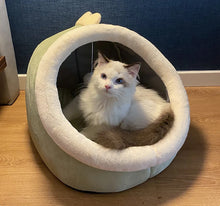 Snug Cave Pet Tent – Self-Warming Bed for Cats & Small Dogs