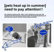Cooling Ice Bed – Self-Cooling Summer Mat for Dogs & Cats