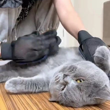 Pethouse | Silicone Grooming Gloves