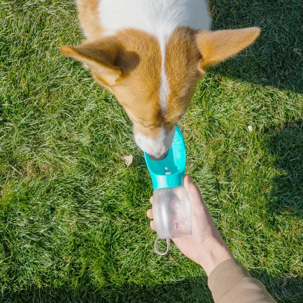 Portable Pet Water Bottle — 300ml Leak-Proof Drinking Bowl for Walks