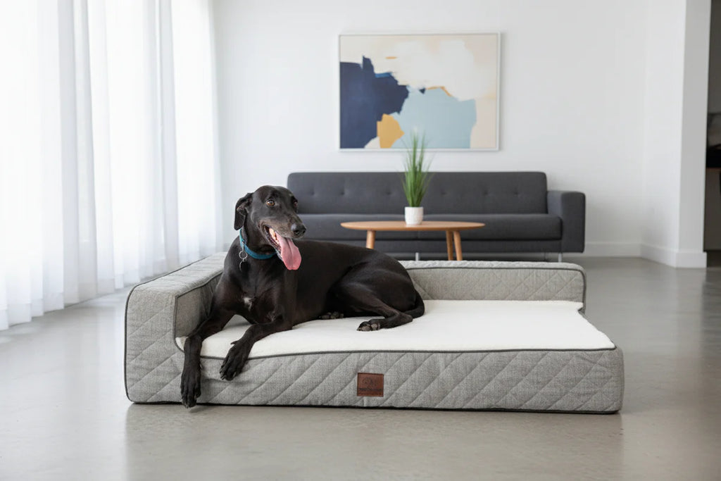 OrthoLuxe Bed for Dogs I Closer Pets