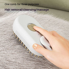 Pet House | Steamy Grooming Brush